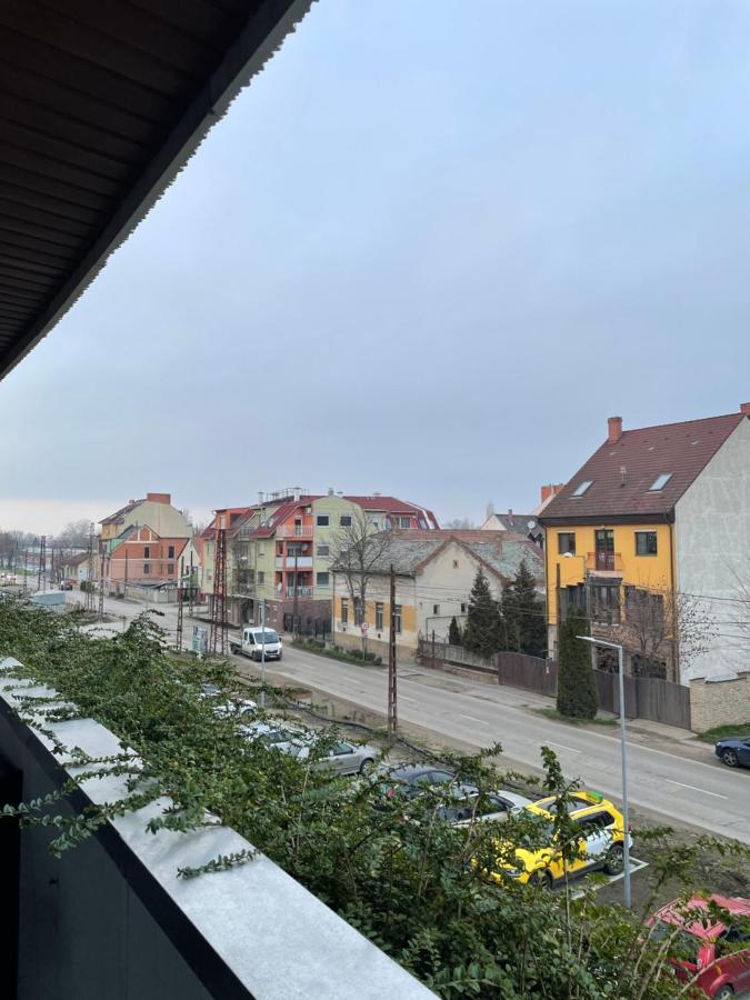 Design - Free Parking * Szeged